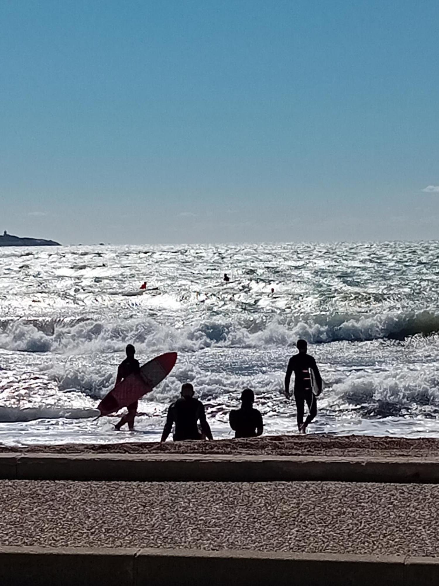 Appartement T2 avec piscine a 100 m de la plage Six-Fours-les-Plages Extérieur photo